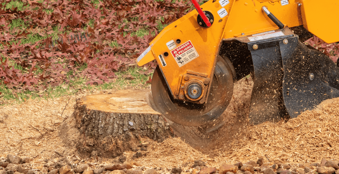 Apex Tree Care